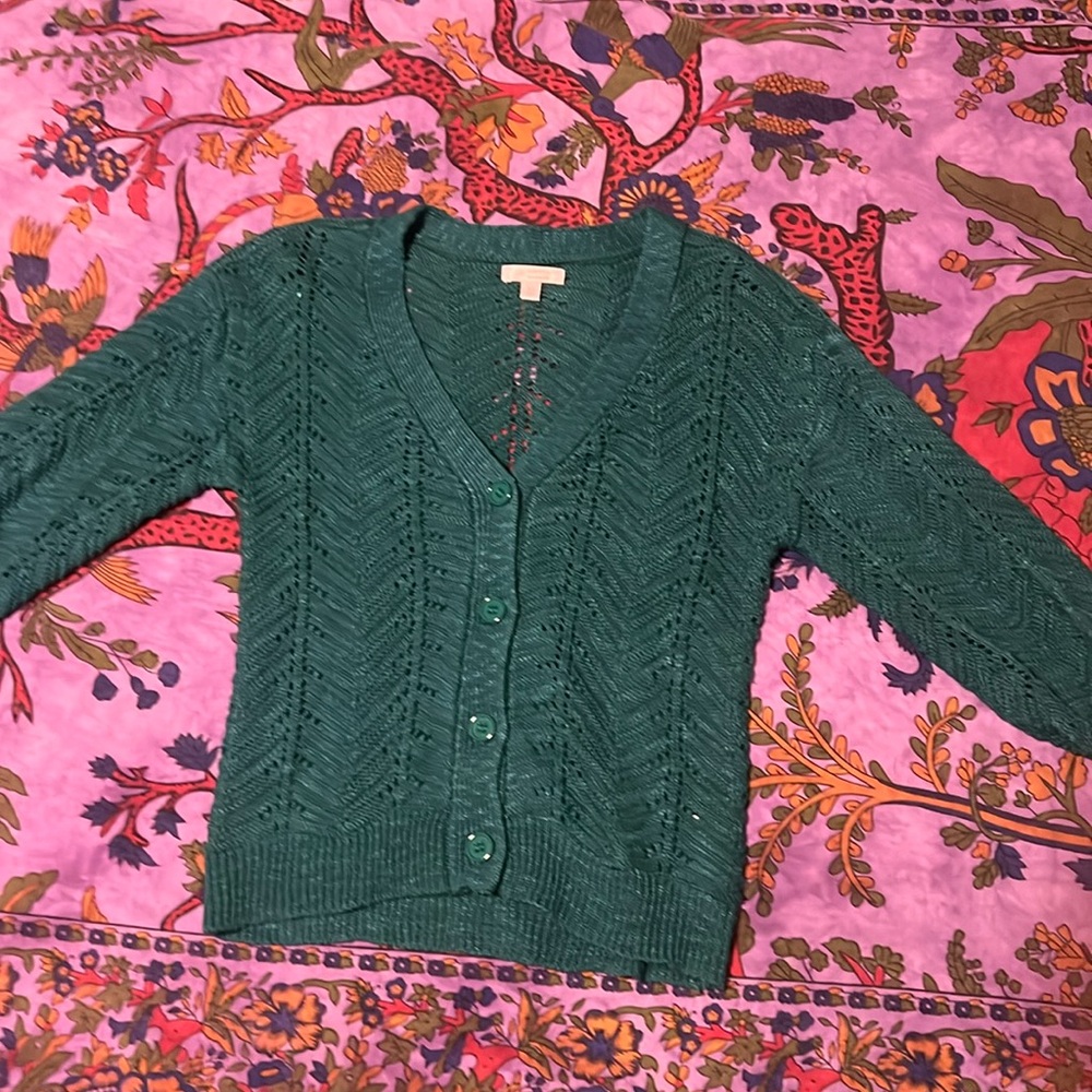 Knitted Sweater by Lauren Conrad. Beautiful deep green.